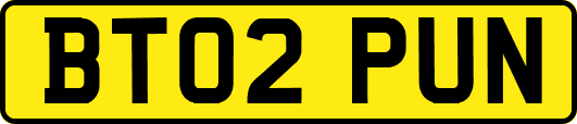 BT02PUN