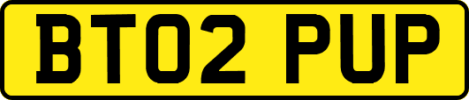 BT02PUP