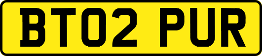 BT02PUR