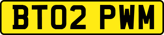 BT02PWM