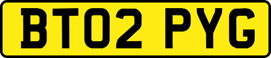 BT02PYG