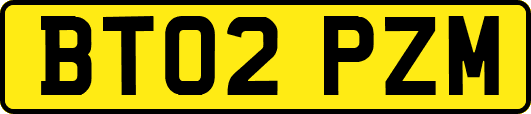 BT02PZM