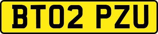 BT02PZU