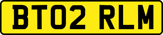 BT02RLM
