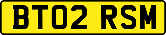 BT02RSM