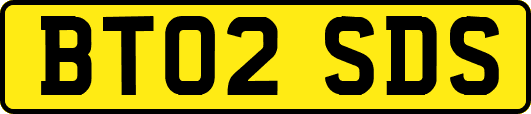 BT02SDS