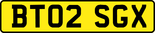 BT02SGX