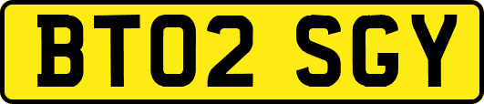 BT02SGY