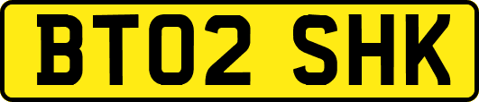 BT02SHK