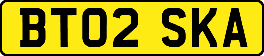 BT02SKA