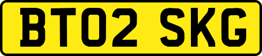 BT02SKG
