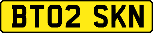 BT02SKN