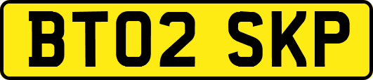 BT02SKP