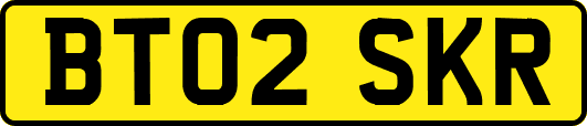 BT02SKR