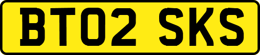 BT02SKS