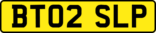 BT02SLP