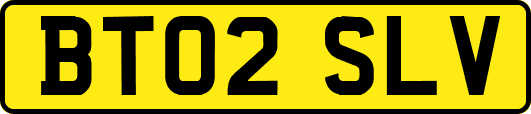 BT02SLV