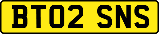 BT02SNS