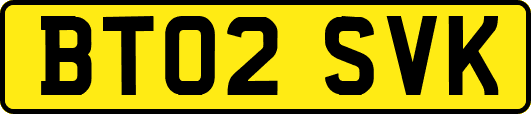 BT02SVK
