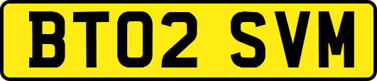 BT02SVM