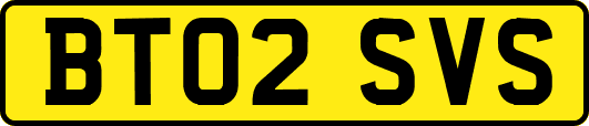 BT02SVS