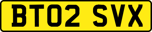 BT02SVX