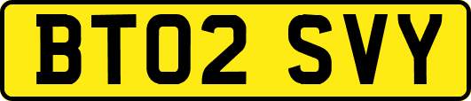 BT02SVY