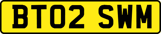 BT02SWM