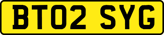 BT02SYG