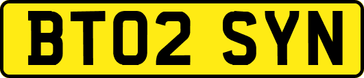 BT02SYN