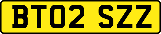 BT02SZZ