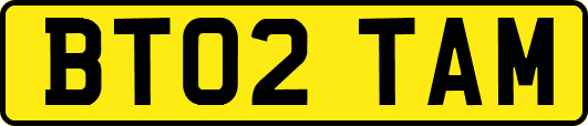 BT02TAM