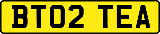 BT02TEA