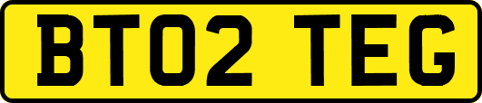 BT02TEG