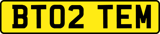 BT02TEM