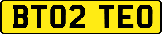 BT02TEO