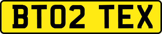 BT02TEX