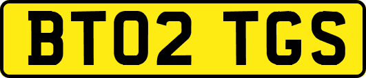 BT02TGS