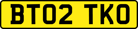 BT02TKO