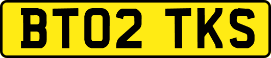 BT02TKS