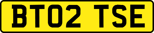 BT02TSE