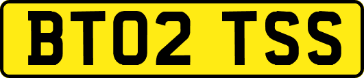 BT02TSS