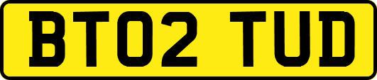 BT02TUD