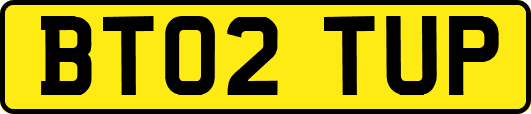 BT02TUP