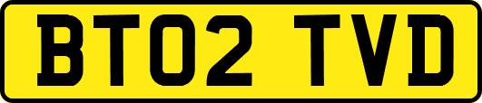 BT02TVD