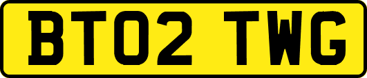 BT02TWG