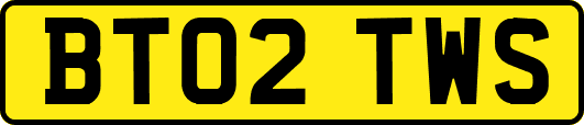 BT02TWS