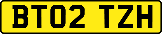 BT02TZH