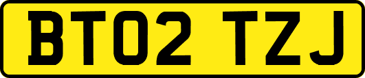 BT02TZJ