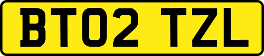 BT02TZL
